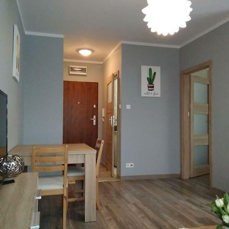 Apartament Edelmana Lägenhet Gorzów Wielkopolski Exteriör bild